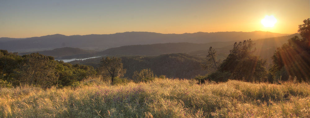 Gorgeous Ridge Top View Building Site & Premium Cabernet Gentleman’s Vineyard – Napa Valley AVA