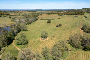 Winery location estate setting Shenandoah valley