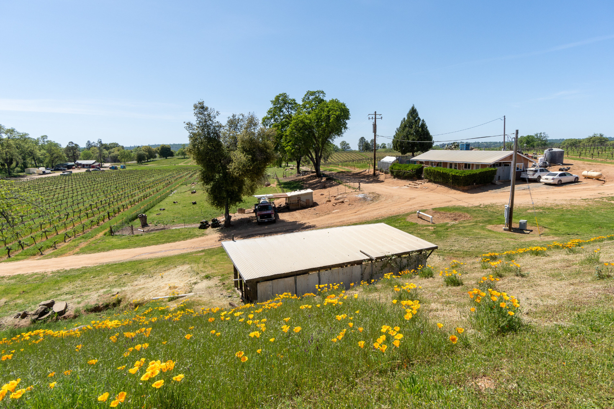 Winery location estate setting Shenandoah valley