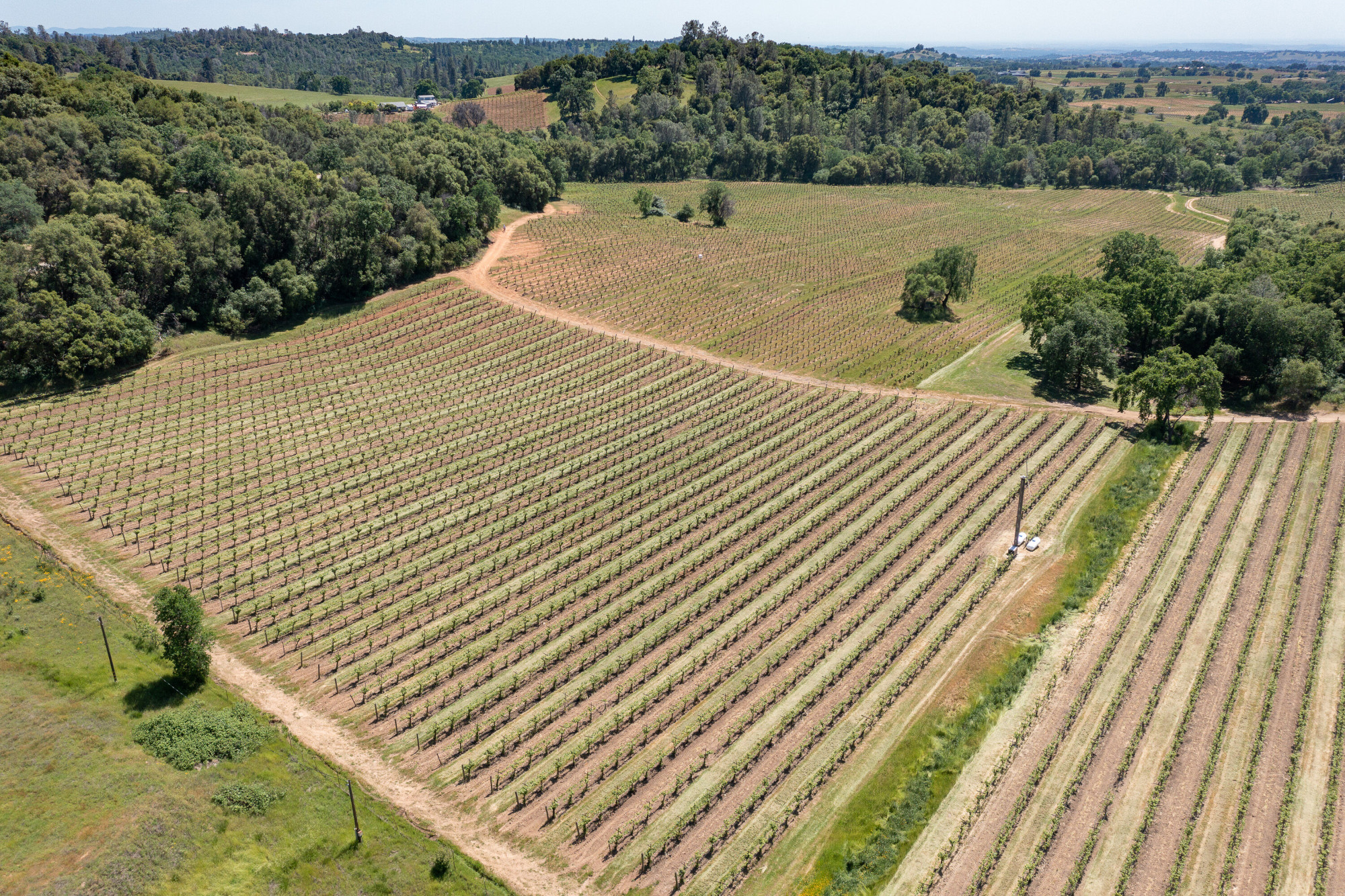 Shenandoah Valley Vineyard for sale