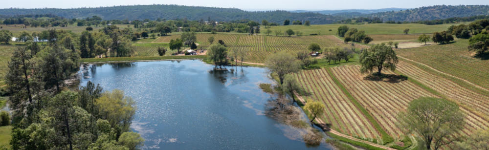 bell road vineyard for sale amador county