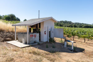 Vineyard for sale Sierra Foothills California