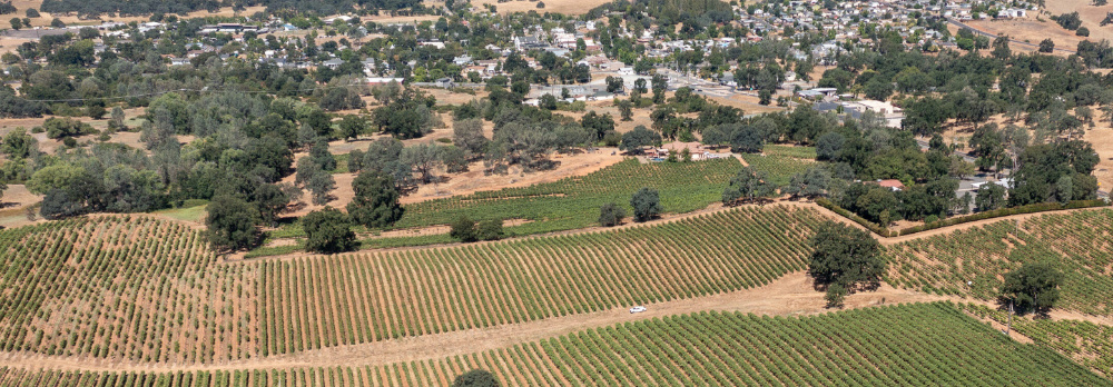 Shenandoah Valley vineyard for sale sierra foothills