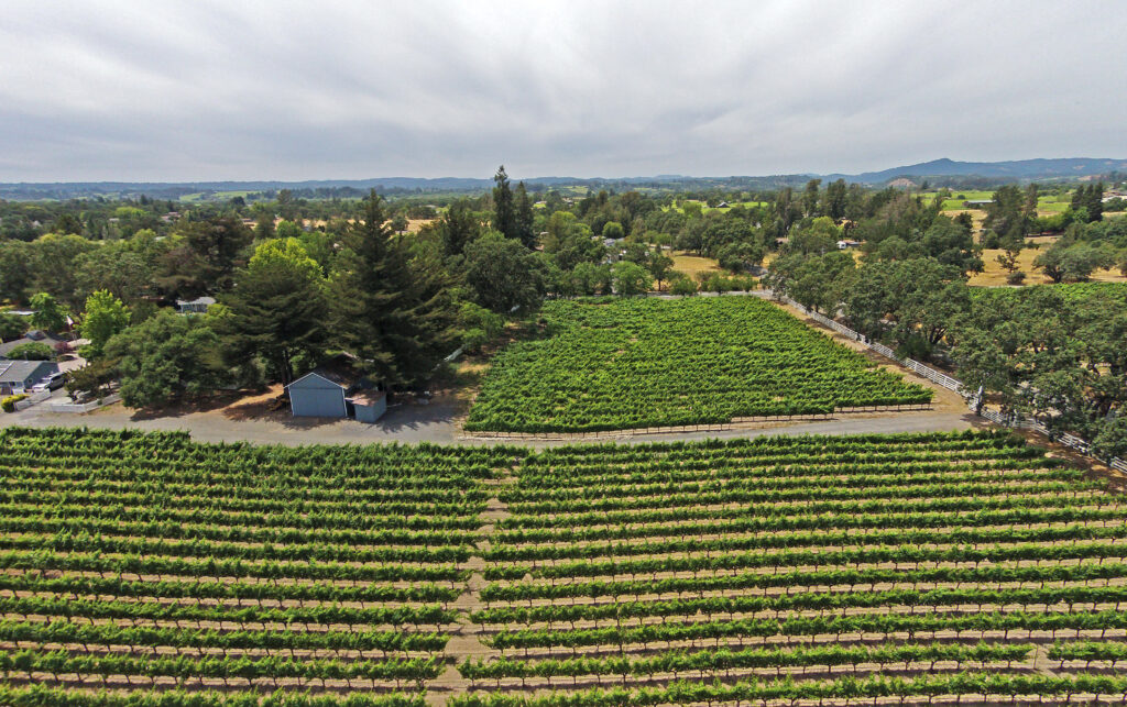 Russian River Valley Vineyards For Sale
