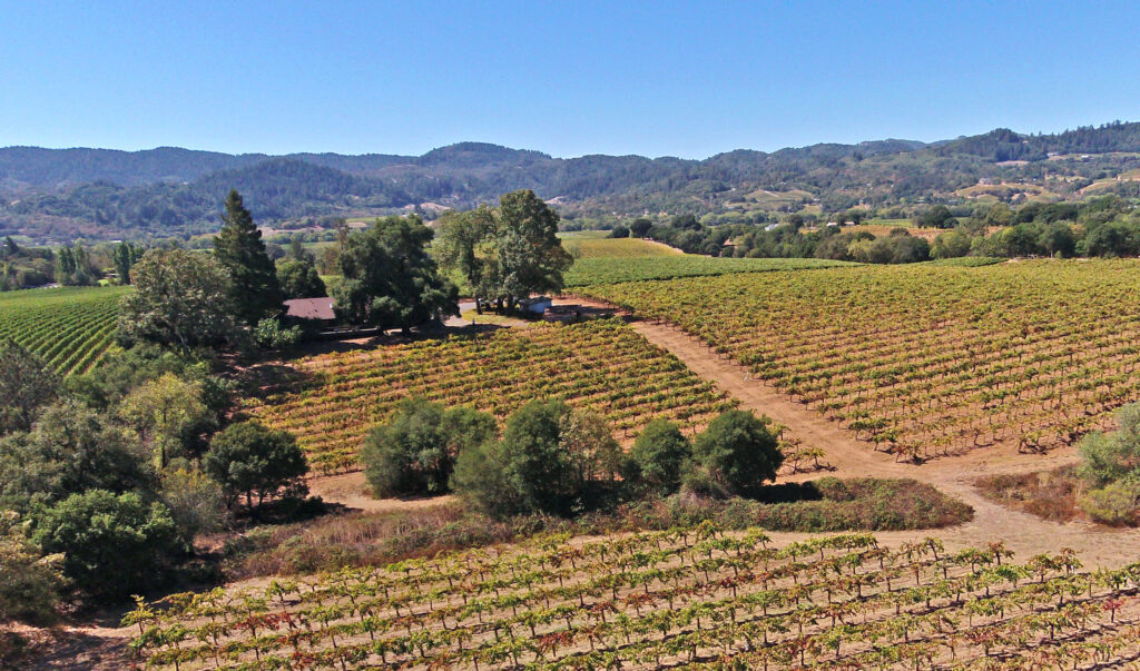 Dry Creek Valley Vineyards for sale
