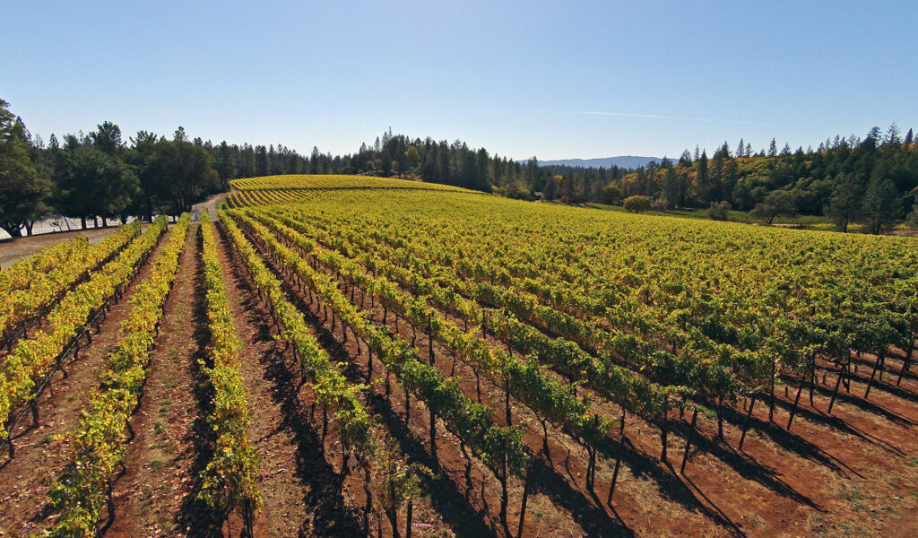 Howell Mountain Vineyards For Sale