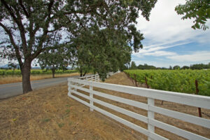 Santa Rosa Plains vineyards for sale