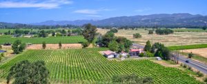 Sonoma Vineyard Estate