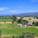 vineyard-estate-sonoma -valley
