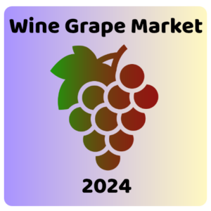 wine grape market