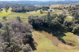 Amador County Vineyard Estate and Winery For Sale