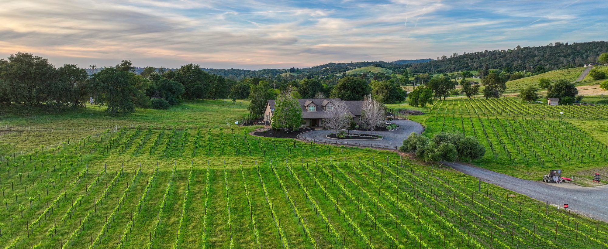 Lifestyle Vineyard Estate Winery