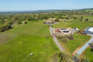 Lifestyle Vineyard Estate and Winery