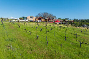 Lifestyle Micro-Winery Tasting Room and Residence For Sale