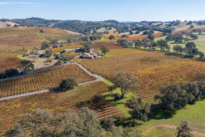 Amador County Wine Country