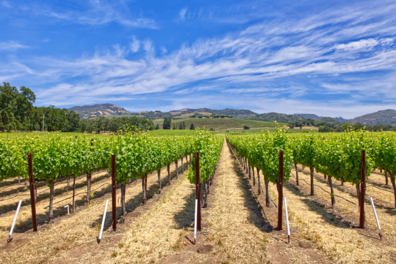 Vineyard and Winery Real Estate Update Napa and Sonoma