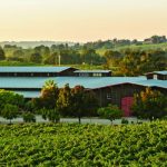 Large California Winery For Sale
