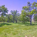 View Estate Setting Among Premier Vineyard