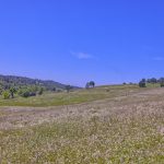 View Estate Setting Among Premier Vineyard