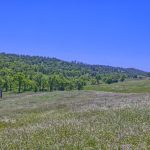 View Estate Setting Among Premier Vineyard