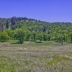 View Estate Setting Among Premier Vineyard
