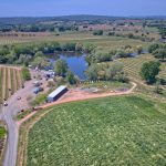 Premium Vineyard in Wine Country Setting For Sale