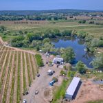 Premium Vineyard in Wine Country Setting For Sale