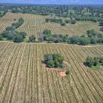 Amador County real estate