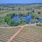 Premium Vineyard in Wine Country Setting For Sale