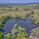 Premium Vineyard in Wine Country Setting For Sale
