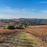 gorgeous-vineyard-view-california