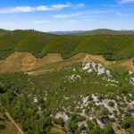 Premium Vineyard and Winery For Sale just minutes from Downtown Murphys
