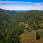 Premium Vineyard and Winery For Sale just minutes from Downtown Murphys