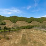Premium Vineyard and Winery For Sale just minutes from Downtown Murphys
