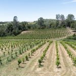 FairPlay AVA Winery For Sale