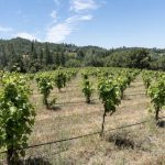 FairPlay AVA Winery For Sale