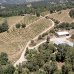 FairPlay AVA Winery For Sale