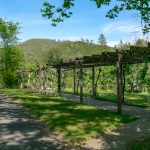Premium Vineyard and Winery For Sale just minutes from Downtown Murphys
