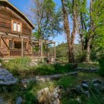 Premium Vineyard and Winery For Sale just minutes from Downtown Murphys