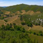 Premium Vineyard and Winery For Sale just minutes from Downtown Murphys