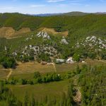 Premium Vineyard and Winery For Sale just minutes from Downtown Murphys