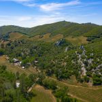 Premium Vineyard and Winery For Sale just minutes from Downtown Murphys