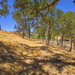 View Building Site Napa Valley AVA