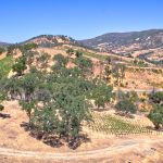View Building Site Napa Valley AVA