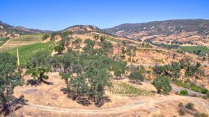 View Building Site Napa Valley AVA