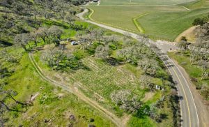 View Building Site Napa Valley AVA