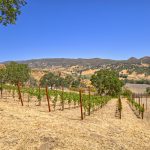 View Building Site Napa Valley AVA