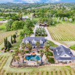 Youngs Vineyard Winery and Estate
