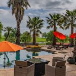 Youngs Vineyard Winery and Estate