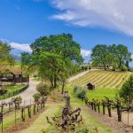 Youngs Vineyard Winery and Estate